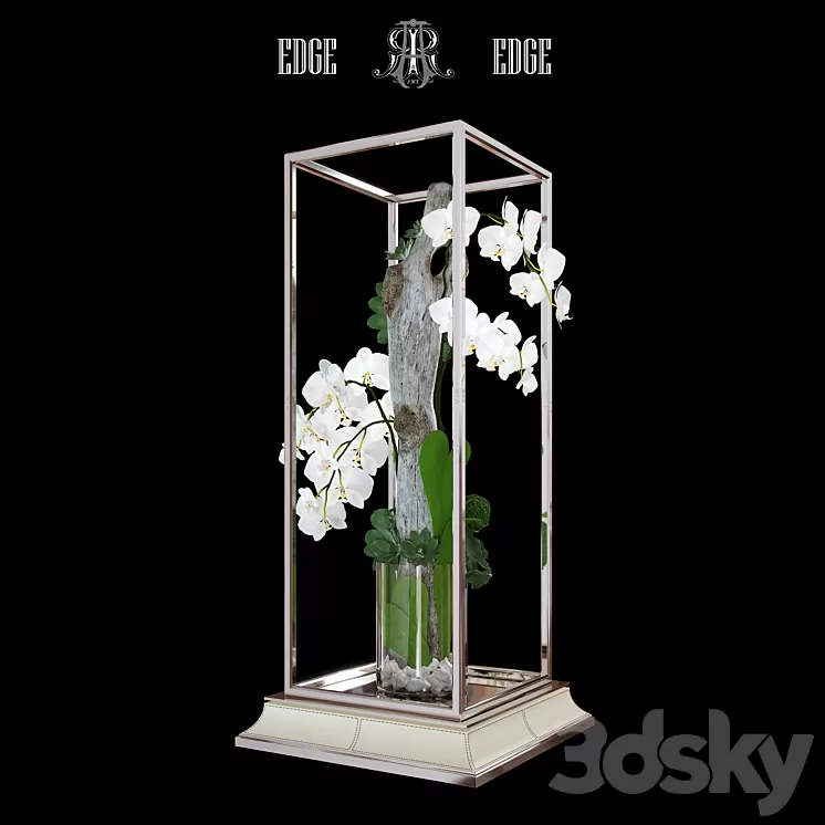 Orchid ART EDGE 3D Model Orchid ART EDGE 3D Model