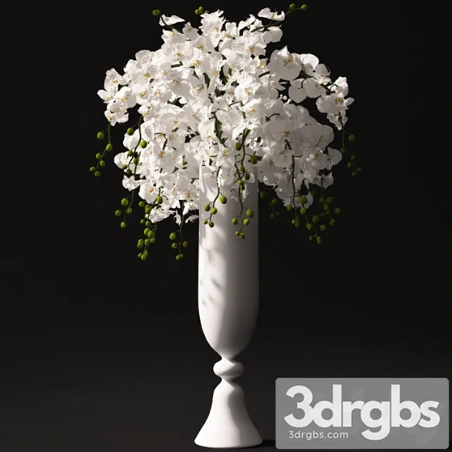 Orchid Bouquet 22 3D Model Download Orchid Bouquet 22 3D Model Download