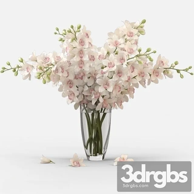 Orchid Bouquet 3D Model Download Orchid Bouquet 3D Model Download