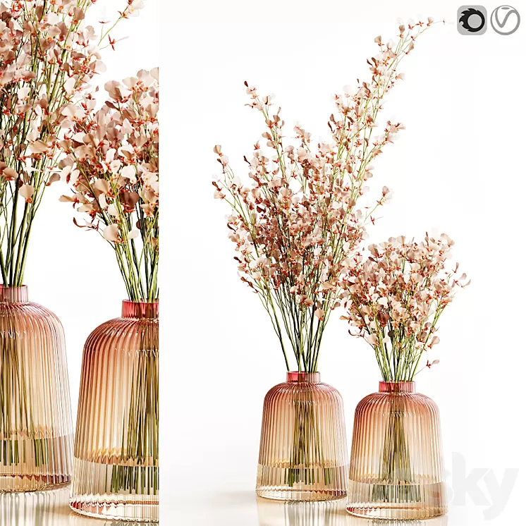 Orchid Oncidium Pink 3D Model Free Download