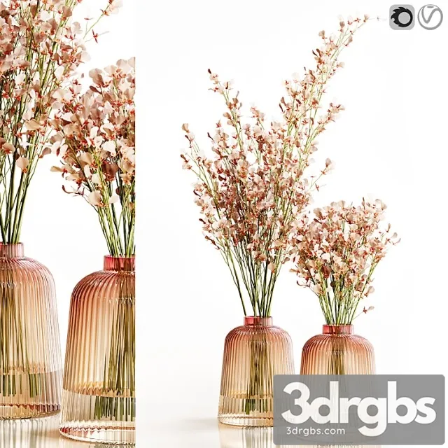 Orchid oncidium pink Orchid oncidium pink