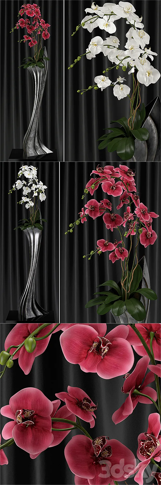 Orchid (phalaenopsis) bouquet 2 3D Model Orchid (phalaenopsis) bouquet 2 3D Model