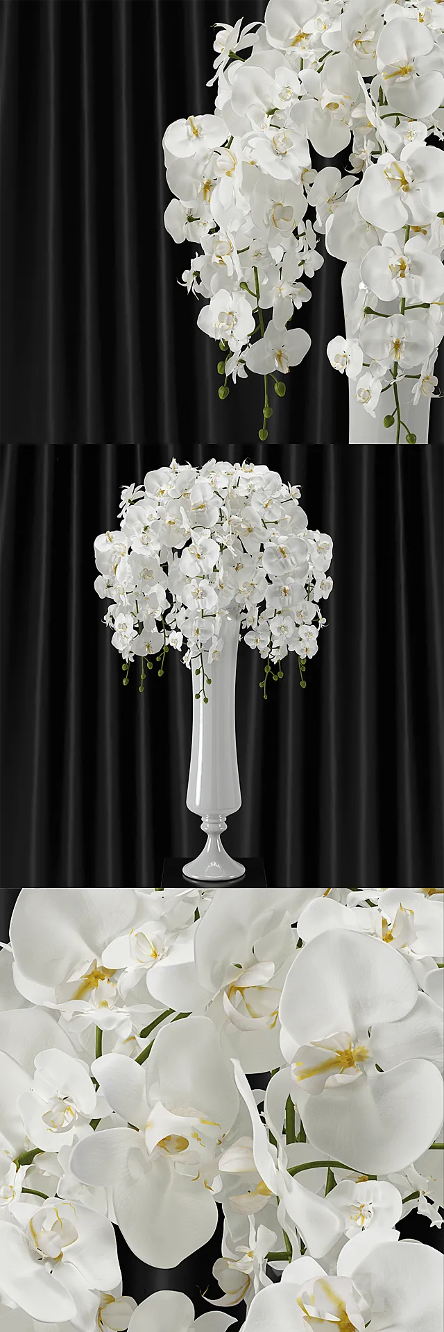 Orchid (phalaenopsis) bouquet 3DModel Orchid (phalaenopsis) bouquet 3DModel