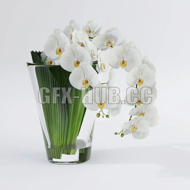 Orchid VG 3D Model Orchid VG 3D Model
