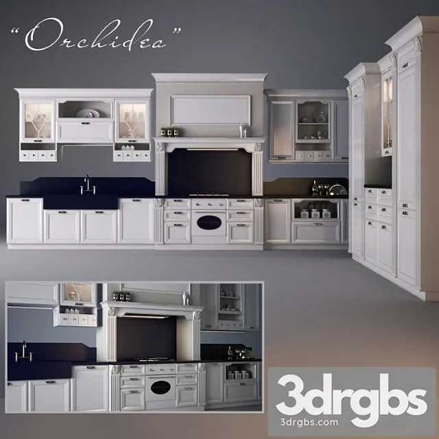 Orchidea 3D Model Download