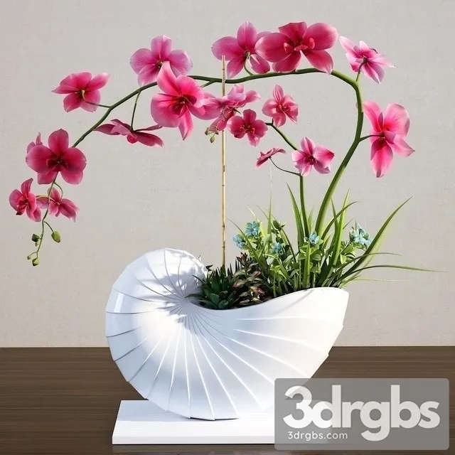 Orchidea Bouquet 3D Model Download Orchidea Bouquet 3D Model Download