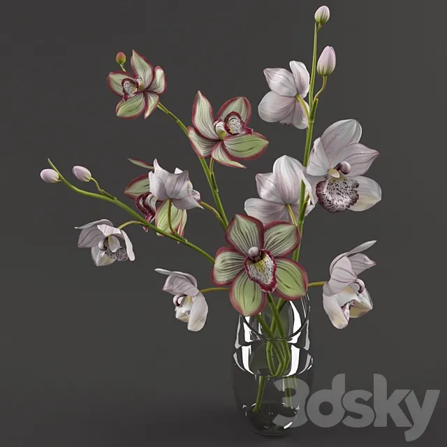 Orchids 3D Model Orchids 3D Model