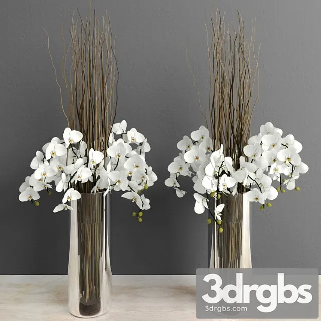 Orchids With Willow Branches 3D Model Download Orchids With Willow Branches 3D Model Download