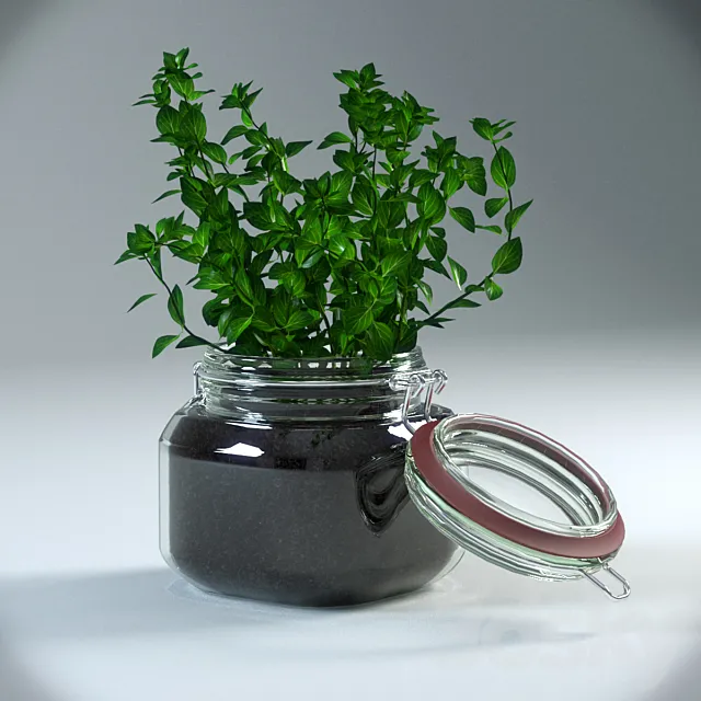 Oregano Plant in pot 3DModel Oregano Plant in pot 3DModel