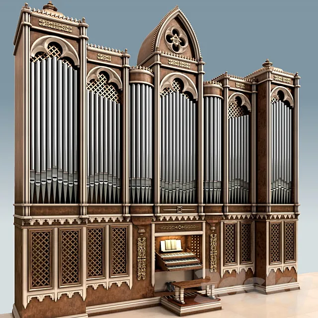 Organ 3D Model