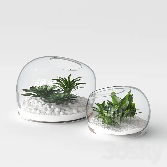 Organic Form Terrariums 3D Model Organic Form Terrariums 3D Model