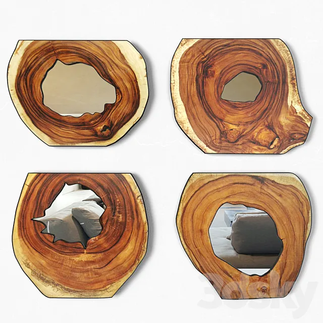 Organic Monkey Pod Mirrors 2 3D Model