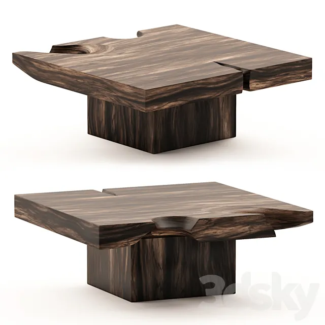 Organic Suar Wood Coffee Table 3DModel