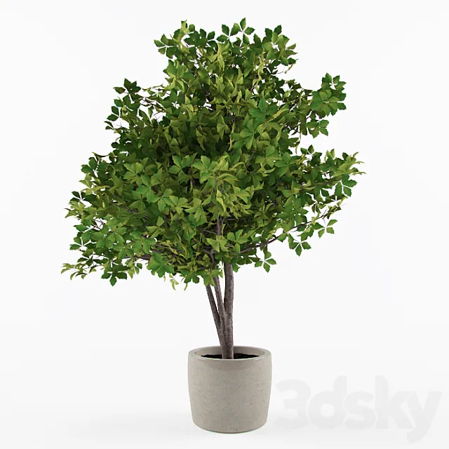 Ornamental 3DModel Ornamental 3DModel