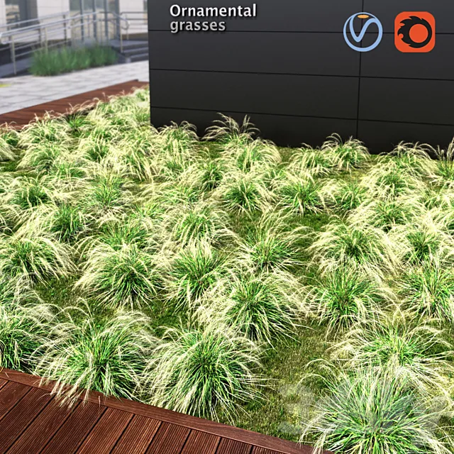 Ornamental grass 3D Model Ornamental grass 3D Model