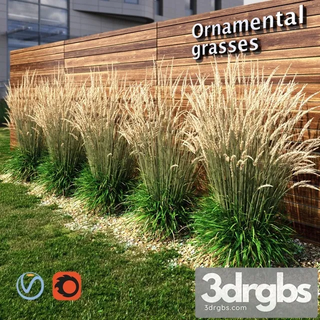 Ornamental Grass Dry 3D Model Download