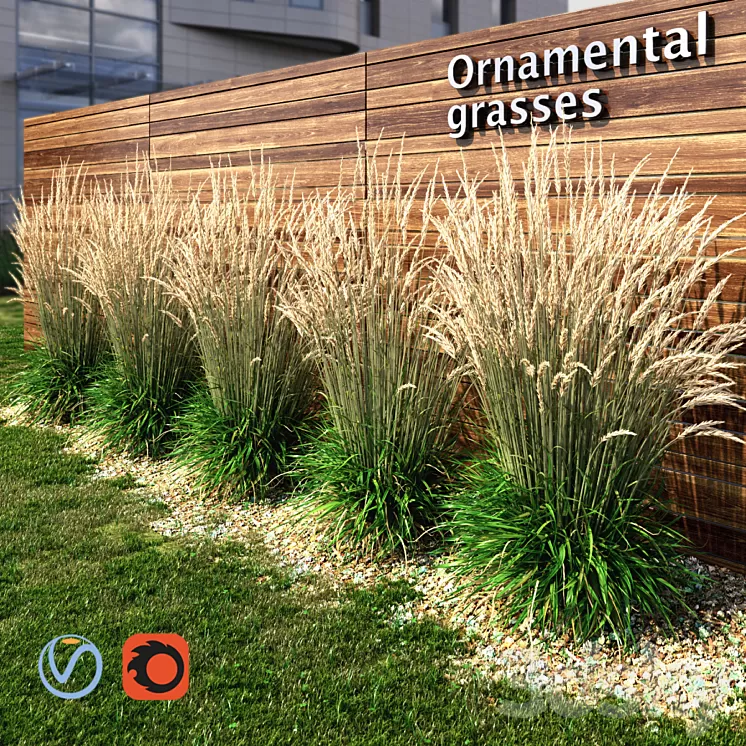 Ornamental grass dry 3D Model Ornamental grass dry 3D Model