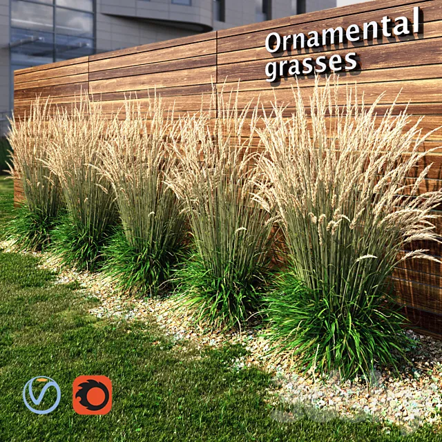 Ornamental grass dry 3DModel Ornamental grass dry 3DModel