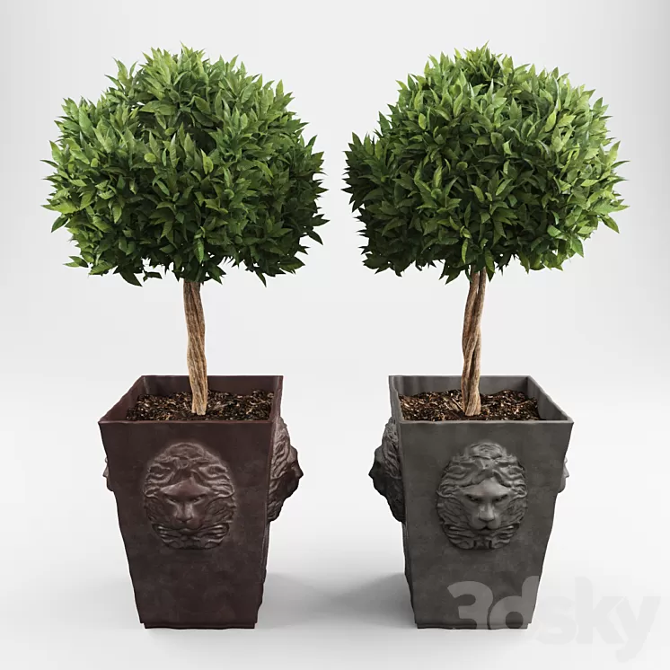 Ornamental trees 2 3D Model Ornamental trees 2 3D Model