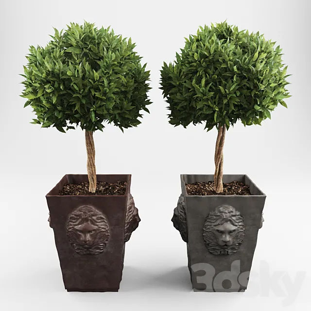 Ornamental trees 2 3DModel