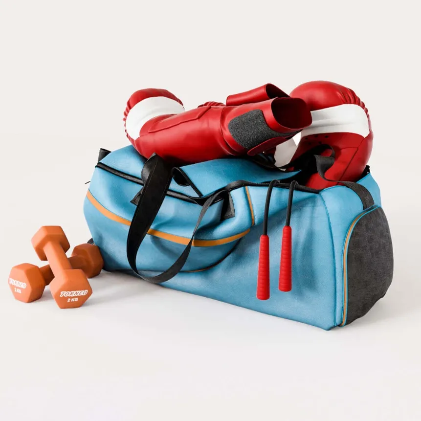 other-models – Boxing set 3D Model