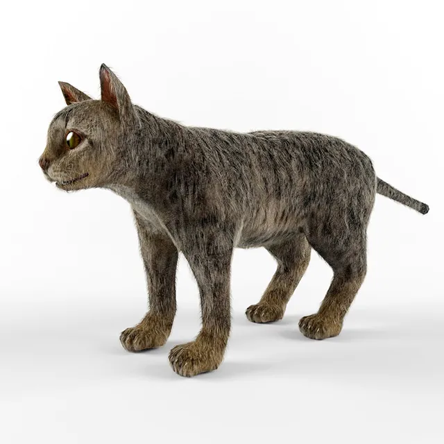 other-models – Cat 3D Model