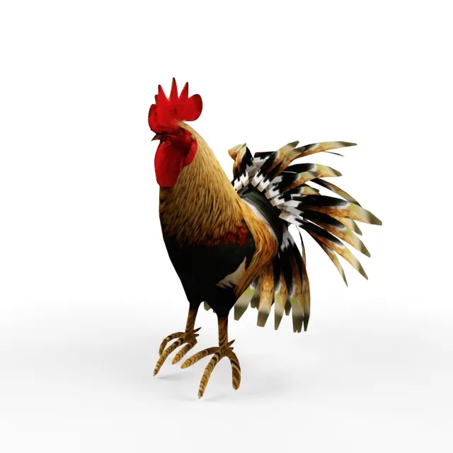 other-models – Cock 3D Model