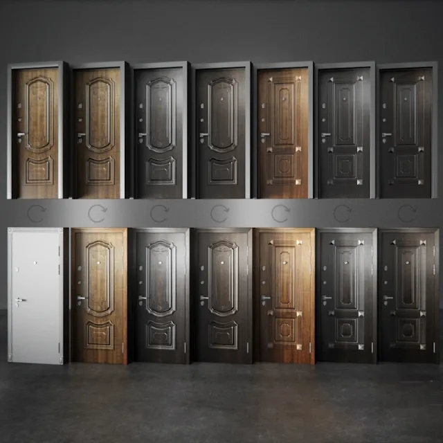 other-models – Entrance doors Torex Professor 3D Model