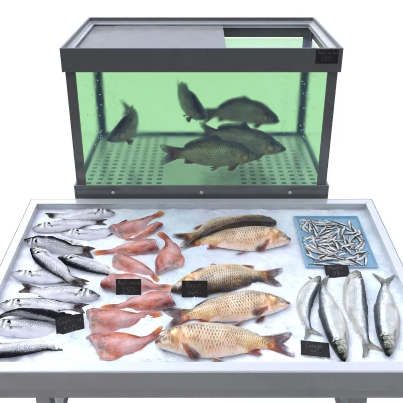 other-models – Fish store 2 3D Model