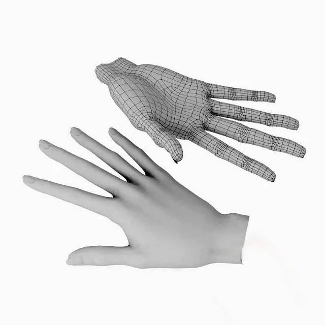 other-models – Woman’s hand 3D Model