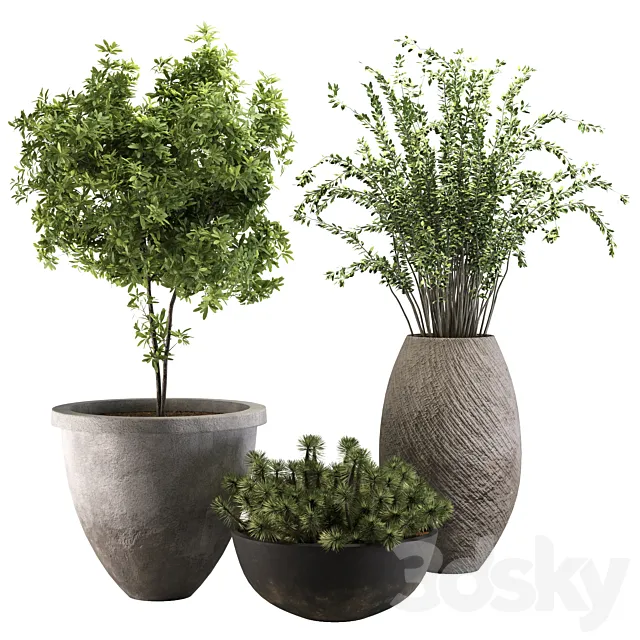 out door plant 13 3D Model