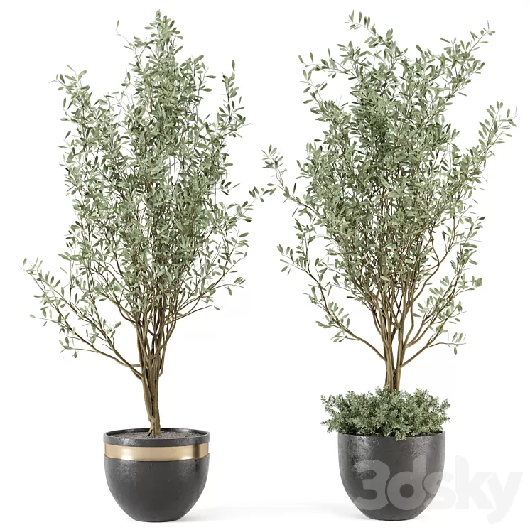 Outdoor bush and Tree in rusty Concrete Pot – Set 204 3D Model Outdoor bush and Tree in rusty Concrete Pot – Set 204 3D Model