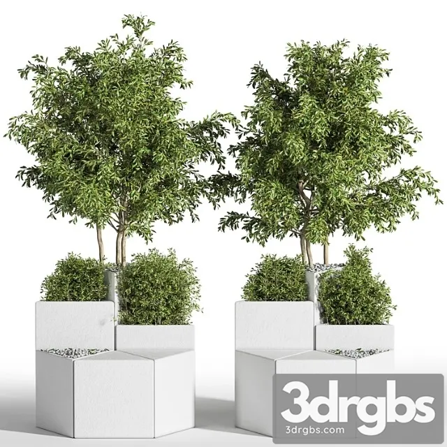 Outdoor Chair of The Shrub 3D Model Download Outdoor Chair of The Shrub 3D Model Download