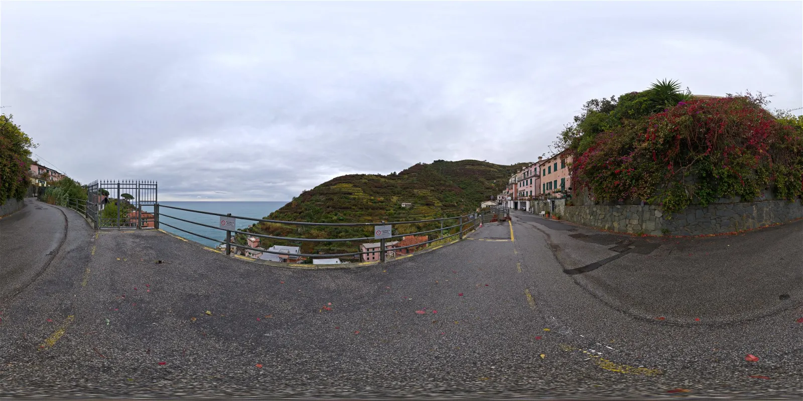 Cloudy Cliffside Road
