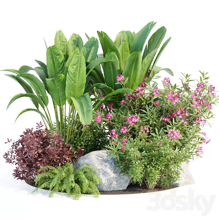 Outdoor Garden Plants Collection vol 136 3D Model Free Download