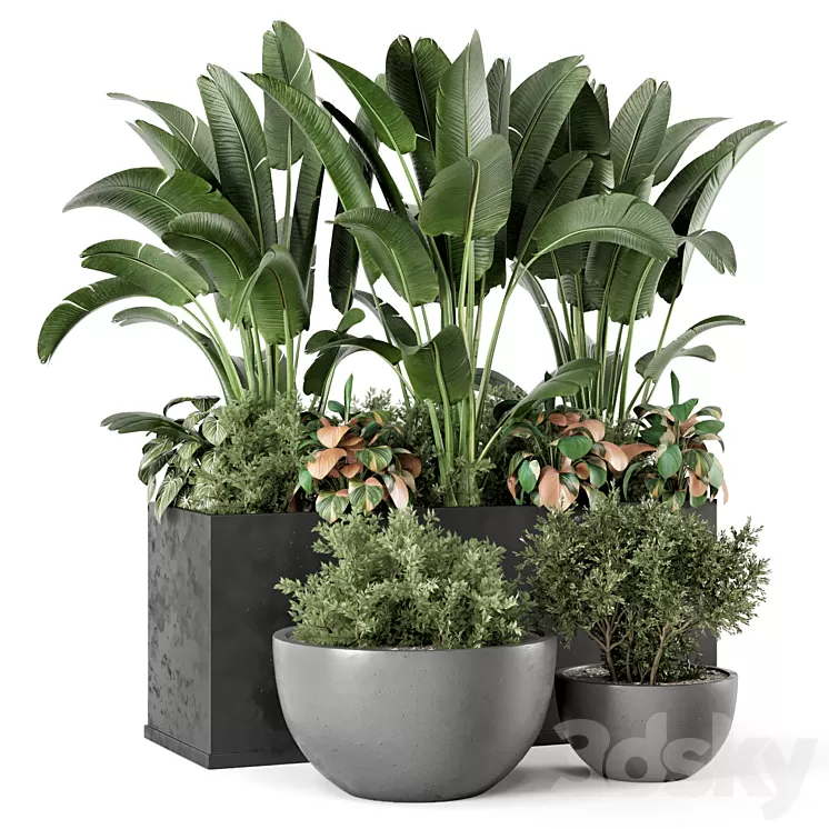 Outdoor Garden set Bush and Tree – Garden Set 1144 3D Model Free Download