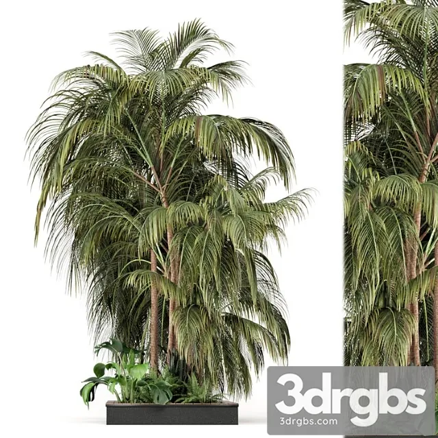 Outdoor garden set bush and tree – garden set 126