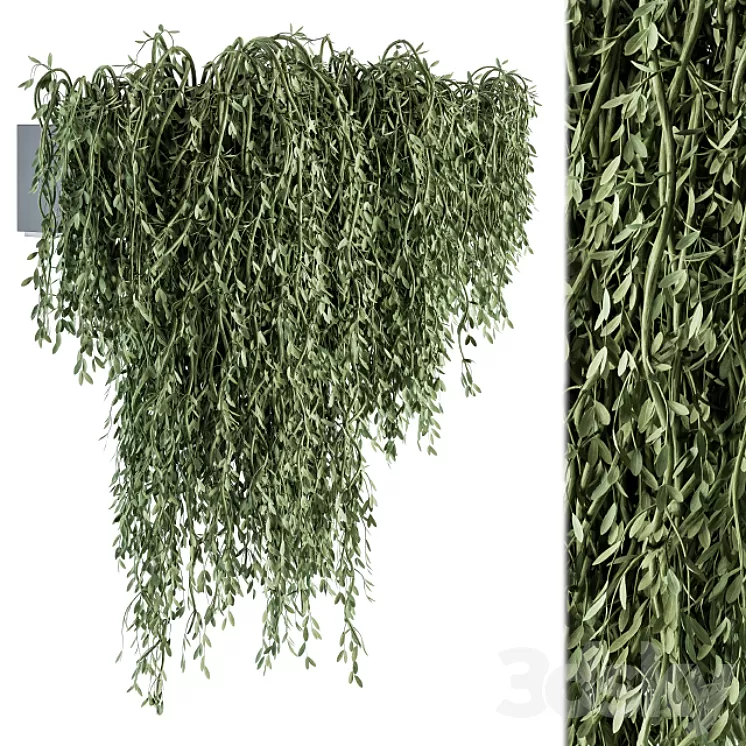Outdoor Hanging Plants – Set 294 3D Model Free Download