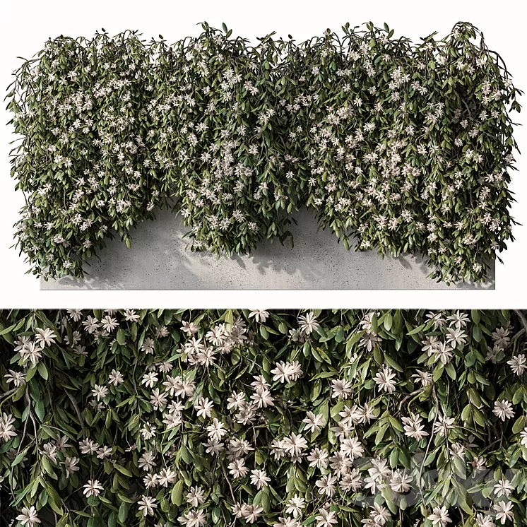 Outdoor Hanging Plants with White Flower – Set 390 3D Model Free Download