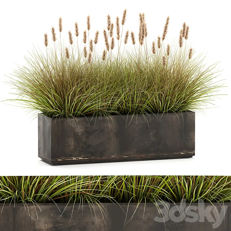 Outdoor metal pot in the bushes Pampas grass flowerpot flowerbed reed. 905. 3D Model Free Download