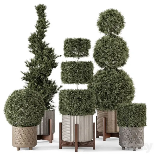 Outdoor Pine Plants in Concrete Pot – Set 522 3D Model Outdoor Pine Plants in Concrete Pot – Set 522 3D Model
