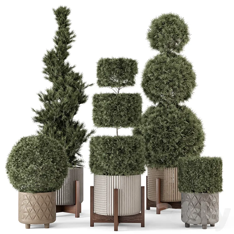 Outdoor Pine Plants in Concrete Pot – Set 522 3D Model Free Download