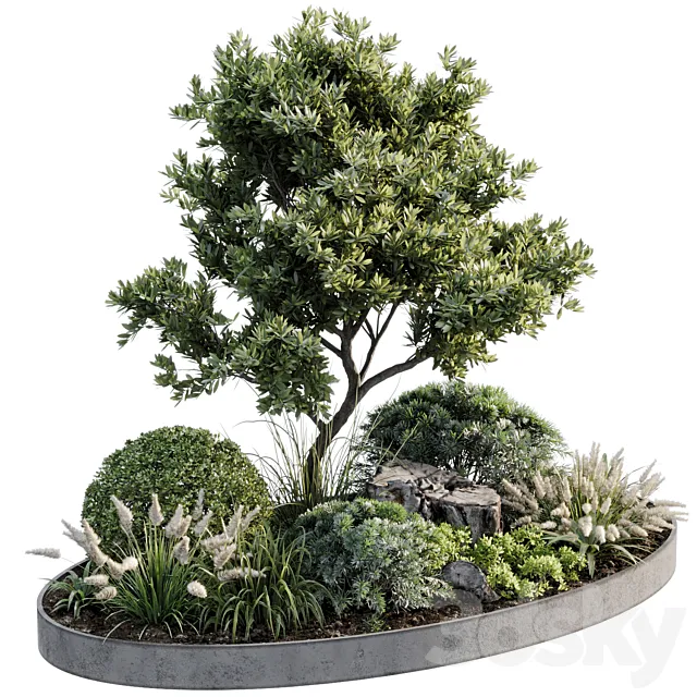 Outdoor Plant 05 3D Model