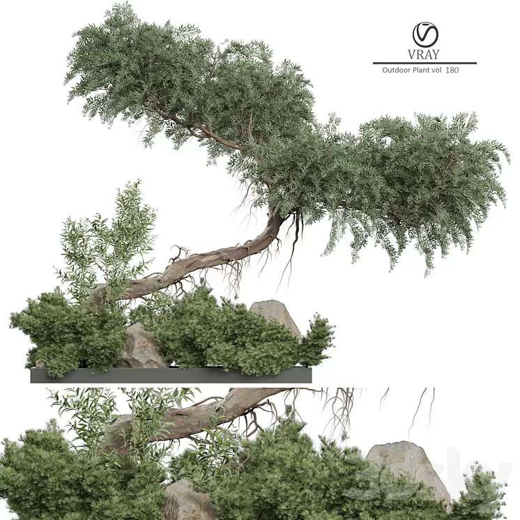 Outdoor Plant 180 3D Model Free Download