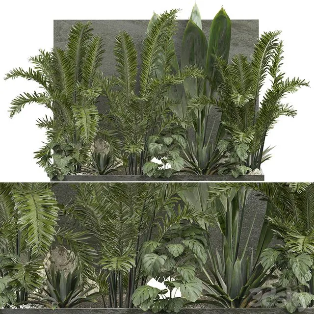 Outdoor Plant 239 3D Model