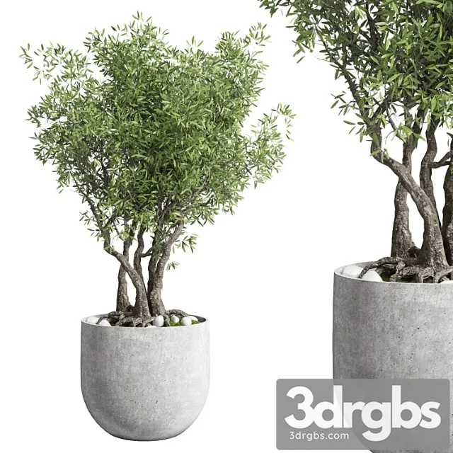 Outdoor Plant 28 Concrete Vase 3D Model Download