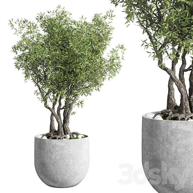 Outdoor plant 28 concrete vase 3D Model Outdoor plant 28 concrete vase 3D Model
