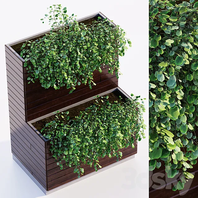 Outdoor plant 3D Model