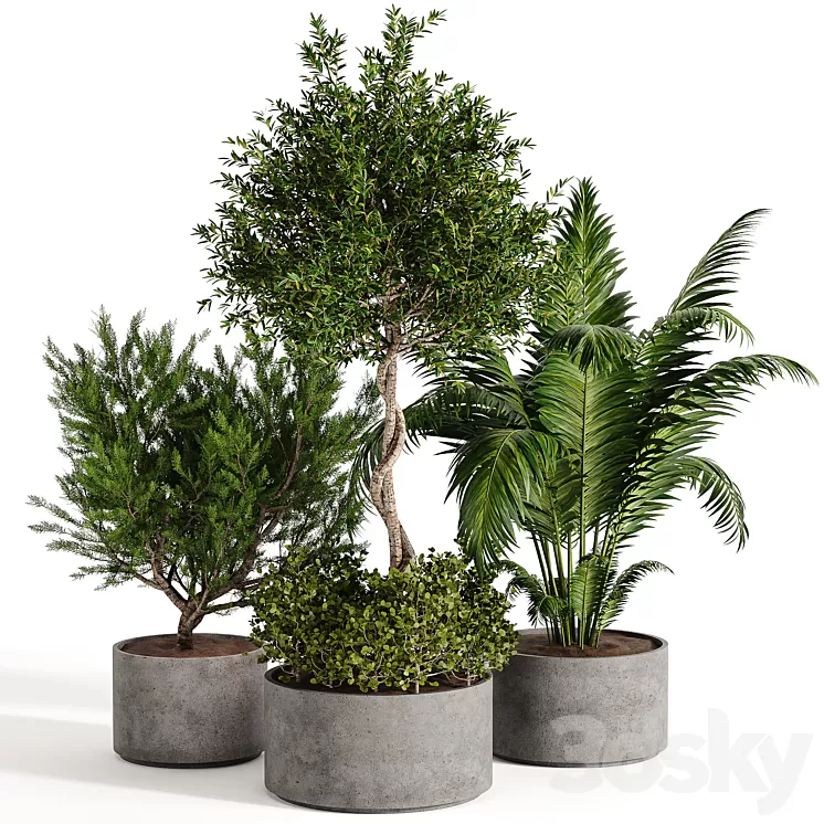 Outdoor plant collection 02 3D Model Outdoor plant collection 02 3D Model