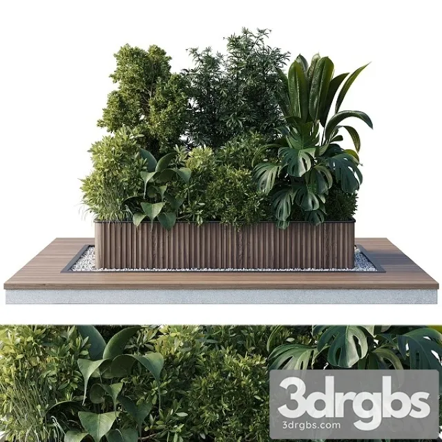 Outdoor Plant Collection 114 3D Model Download